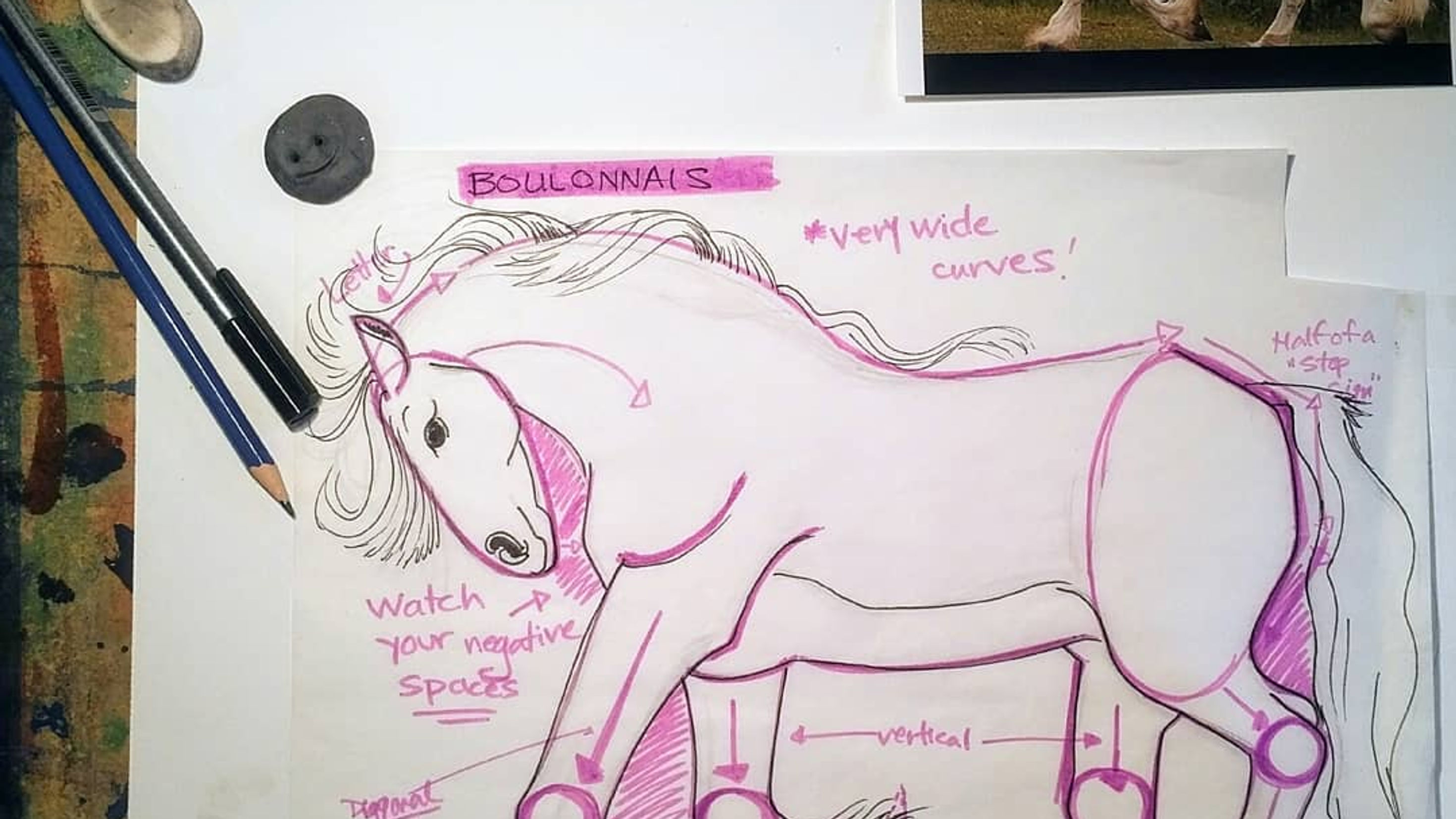 Drawing a French Boulonnais Horse